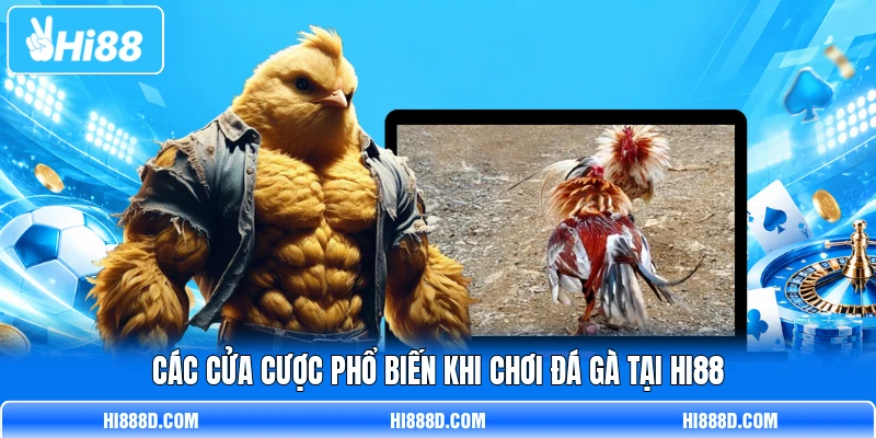 Các cửa cược phổ biến khi chơi đá gà tại HI88