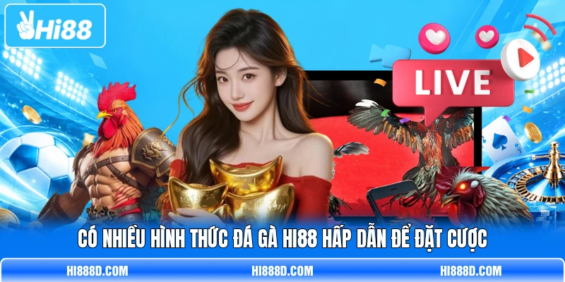 Có nhiều hình thức đá gà HI88 hấp dẫn để đặt cược