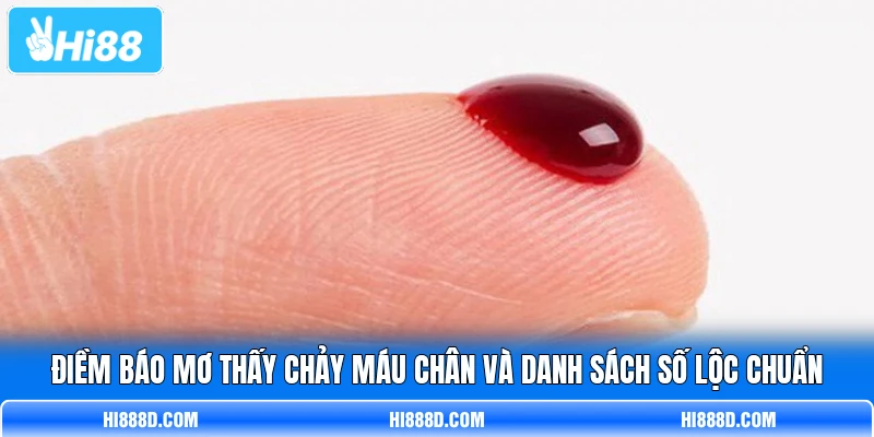 Điềm Báo Mơ Thấy Chảy Máu Chân Và Danh Sách Số Lộc Chuẩn