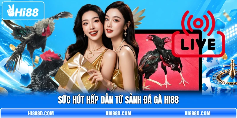 Sức hút hấp dẫn từ sảnh đá gà HI88